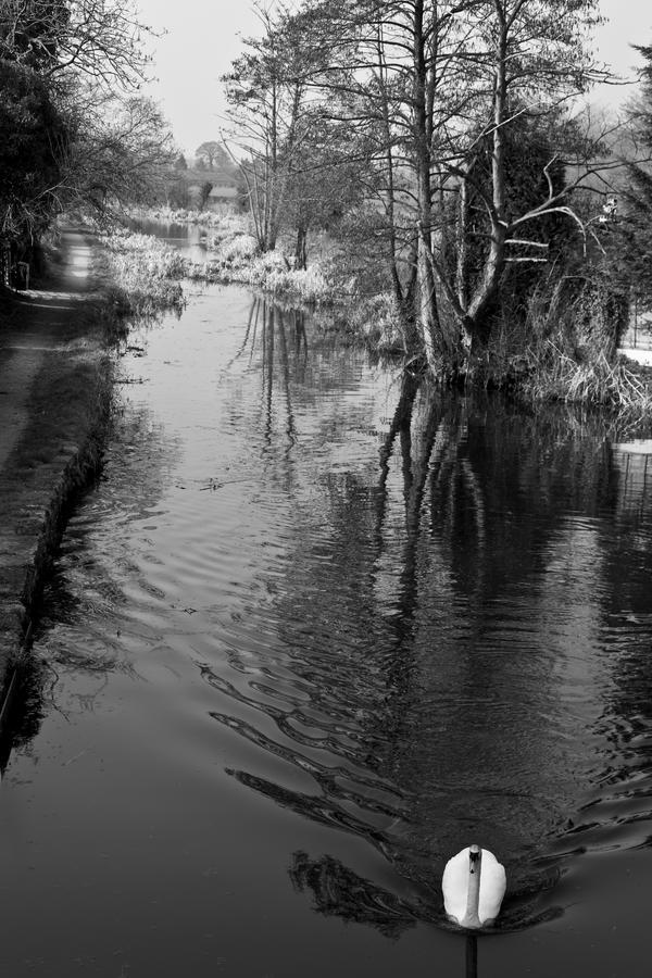 The Cross Keys Hotel Llanymynech ภายนอก รูปภาพ